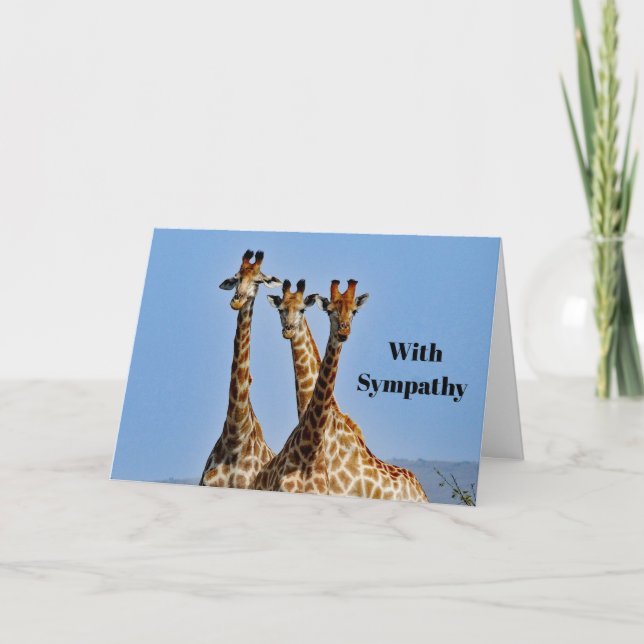 Carte Sympathie photo du troupeau de girafe (Devant)