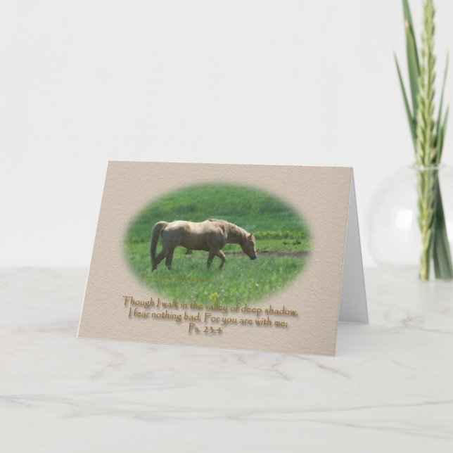 Carte Sympathie picoseconde de cheval de palomino. 23 (Devant)