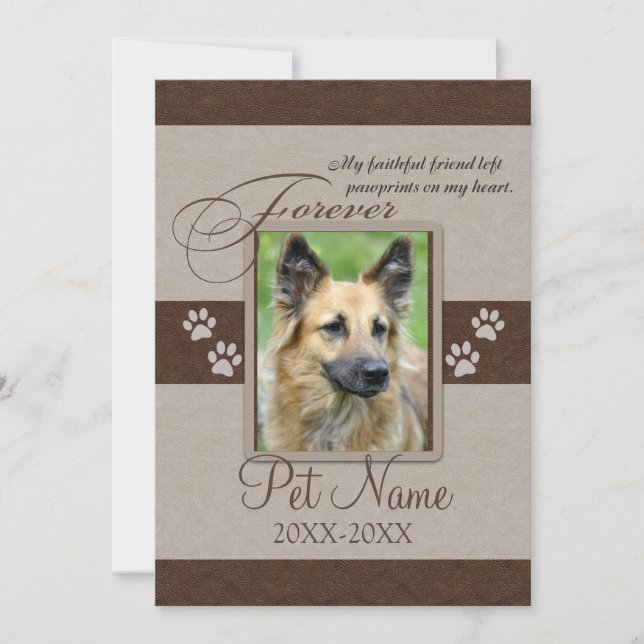 Carte Sympathie pour animal de compagnie (Devant)