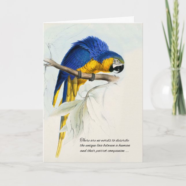 Carte Sympathie pour animal de compagnie bleu et or Maca (Devant)