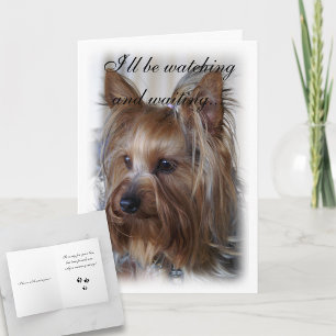 Carte Sympathie pour la mémoire des animaux