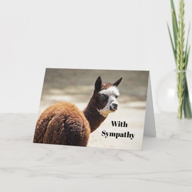 Carte Sympathie pour la photo Brown et blanche d'Alpaca (Devant)