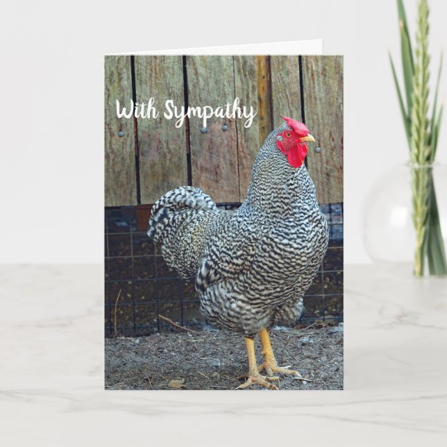 Carte Sympathie pour la photo du coq noir et blanc de po (Devant)
