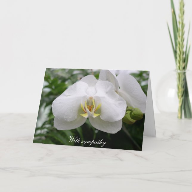 Carte sympathie pour l'orchidée blanche (Devant)