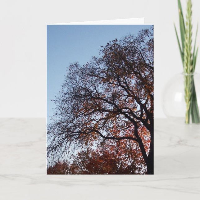 Carte Sympathie Silhouette Arbres (Devant)