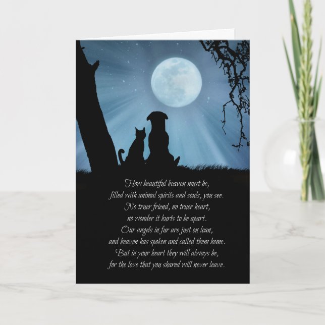 Carte Sympathie spirituelle entre chien et chat (Devant)