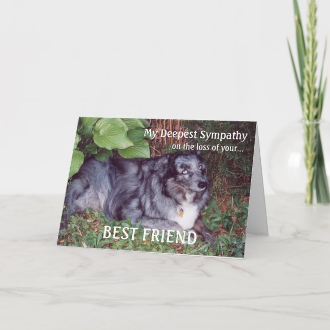 Carte Sympathie sur la perte de chien-animal/avec poème (Devant)