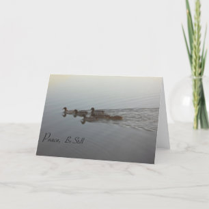 Carte Sympathique Canards Paisibles Inspirants Ond