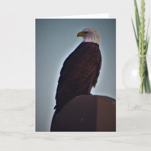 Carte Sympathique "Top Bird"