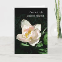Carte Sympathique 'Tulip' - Salutation espagnole