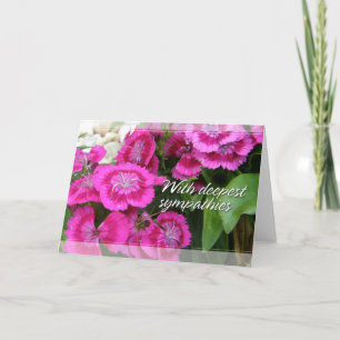Carte Sympathy Cards