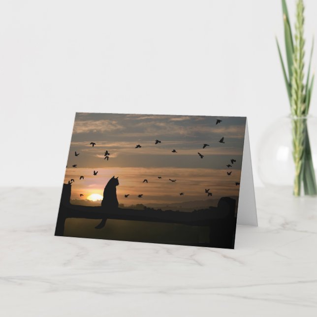 Carte Sympathy Cat (Devant)