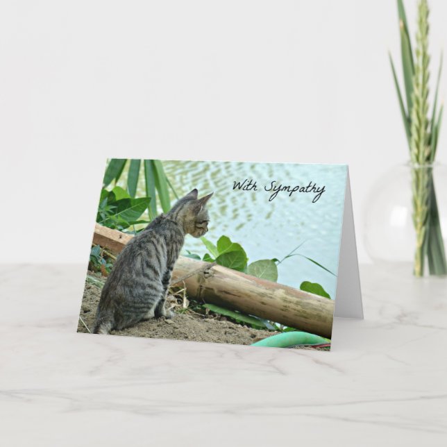 Carte Sympathy Cat (Devant)
