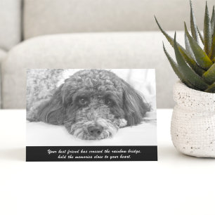 Carte Sympathy Labradoodle Greeting Card