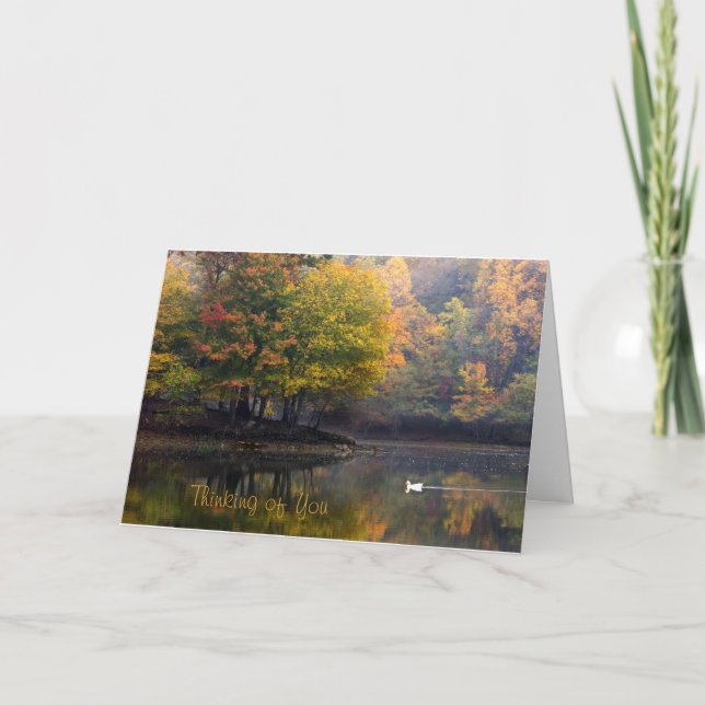 Carte Sympathy - Misty Morning (Devant)