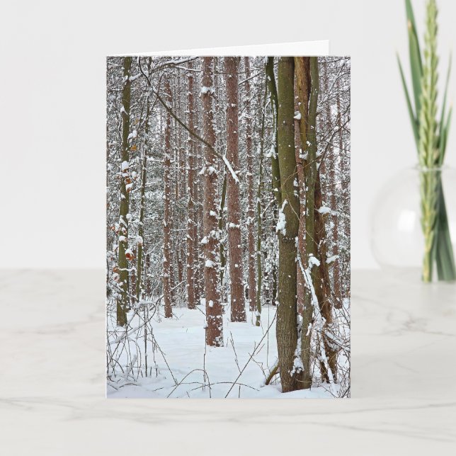 Carte Sympathy Tranquil Winter Forest  (Devant)