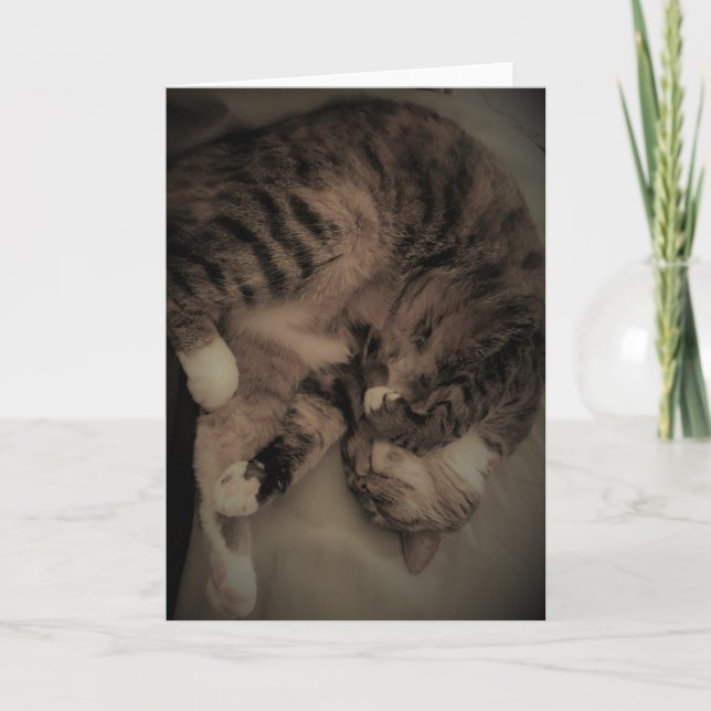 Carte Tabby Cat (Devant)