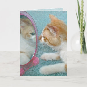 Carte Tabby Cat Anniversaire en miroir