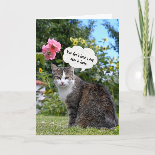Carte Tabby Cat d'anniversaire (Devant)