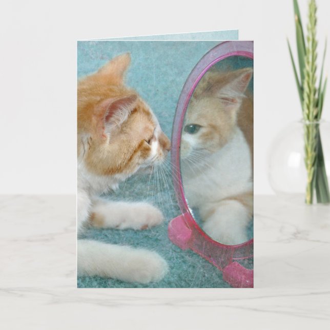 Carte tabby cat dans le miroir pour avoir plus d'anniver (Devant)