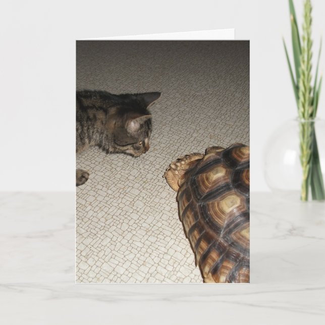 Carte Tabby Cat et Sulcata Tortoise (Devant)