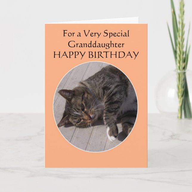 Carte Tabby Cat Fille-fille personnalisée Anniversaire (Devant)