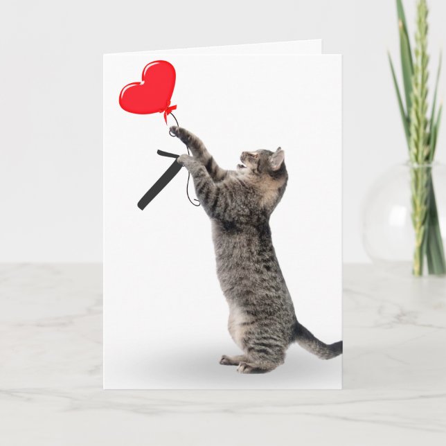 Carte Tabby Cat pour 7ème anniversaire (Devant)