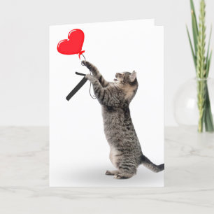 Carte Tabby Cat pour 7ème anniversaire