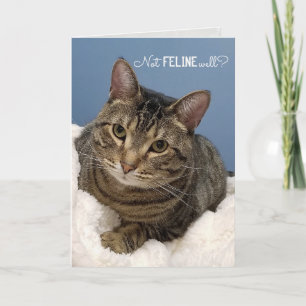 Carte Tabby Cat Se Bien Bientôt