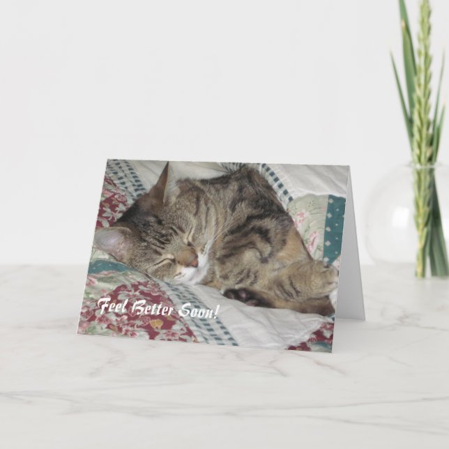 Carte Tabby Cat Sleepy Accueil (Devant)