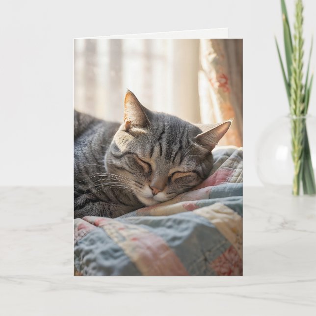 Carte Tabby Chat Anniversaire Dormir Sur Une Ancienne Pl (Devant)