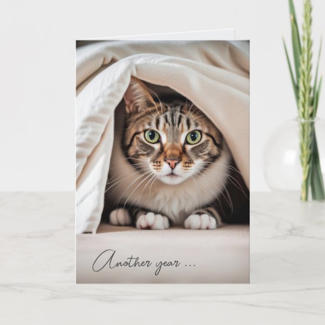 Carte Tabby Chat Anniversaire Obtenir un vieil Humour (Devant)