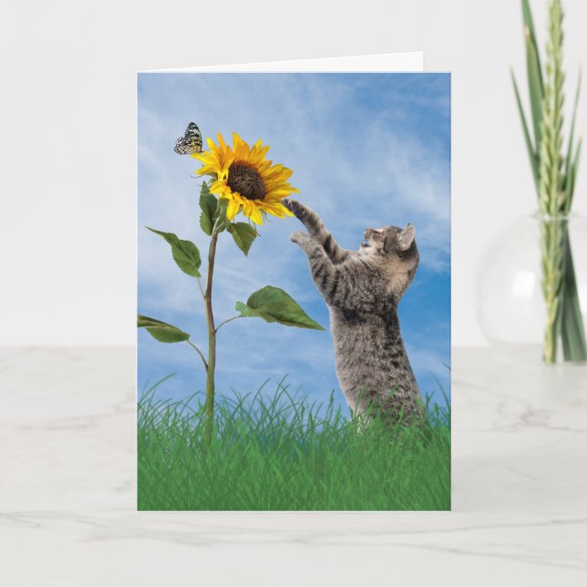 Carte Tabby Chat Avec Tournesol Anniversaire (Devant)
