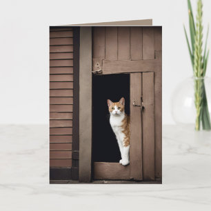 Carte Tabby Chat d'anniversaire à Shed Doorway