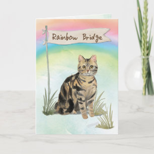 Carte Tabby Chat Pet Sympathie sur Rainbow Bridge