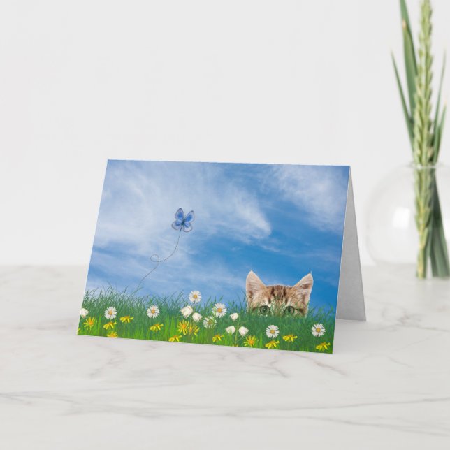 Carte Tabby chaton dans l'herbe humour d'anniversaire (Devant)