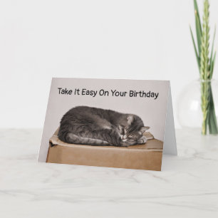 Carte Tabby Gris Chat Dormir Sur Boîte Vide