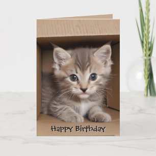 Carte Tabby Kitten Anniversaire En Boîte Carton