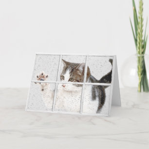 Carte tabby kitty dans la fenêtre