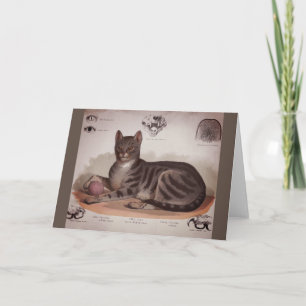 Carte Tableau antique de chat