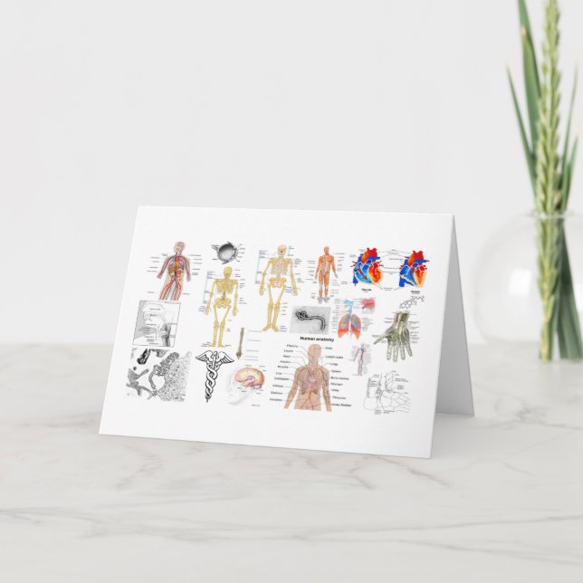 Carte Tableaux d'anatomie humaine (Devant)