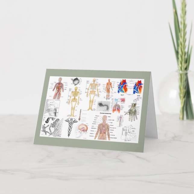 Carte Tableaux médicaux couleur pleine (Devant)