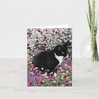 Carte Taches de rousseur en fleurs II - chat de Kitty de