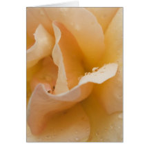 Carte tactile douce de Grace