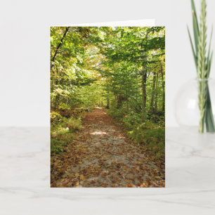 Carte Tahquamenon Falls sentiers de nature automne
