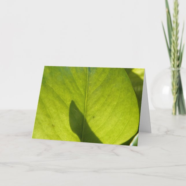 Carte Taiwan Flora Leaf (Devant)