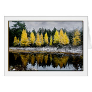 Carte Tamarack Dreams