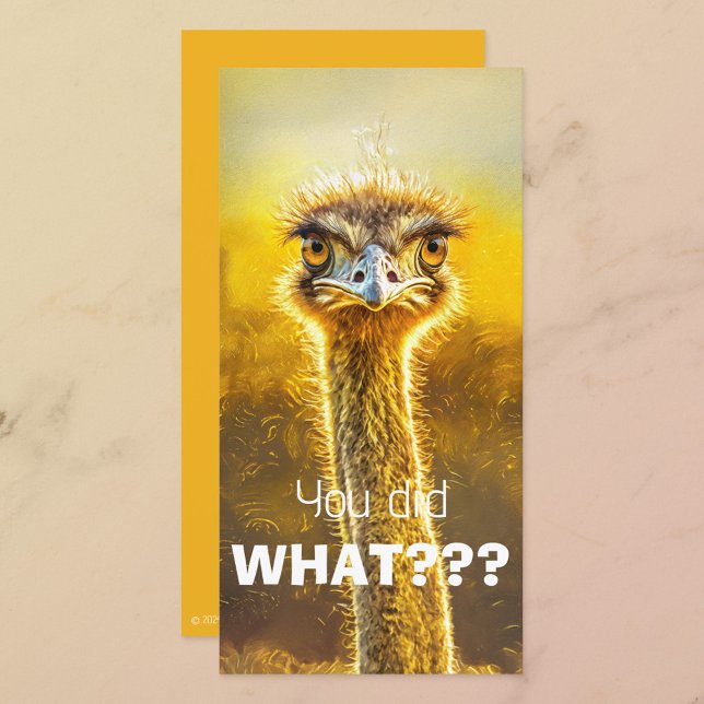 CARTE T'AS FAIT QUOI ? ? ? (Créateur téléchargé)