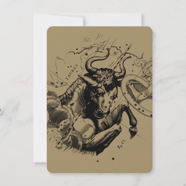 Carte Taurus Constellation Hevelius 1690 Engraving (Devant)