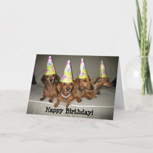 Carte Teckel de joyeux anniversaire